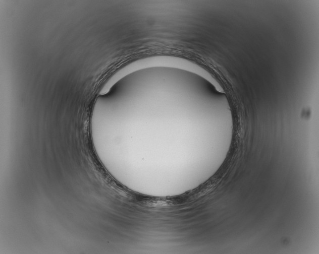 X0000113130513200910021419