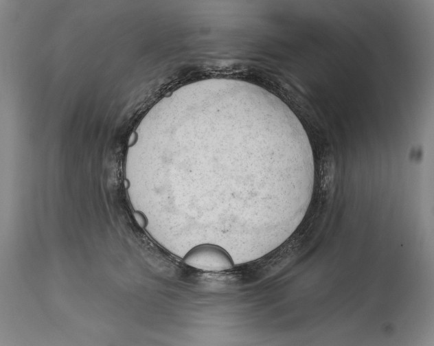 X0000113130515200910021419