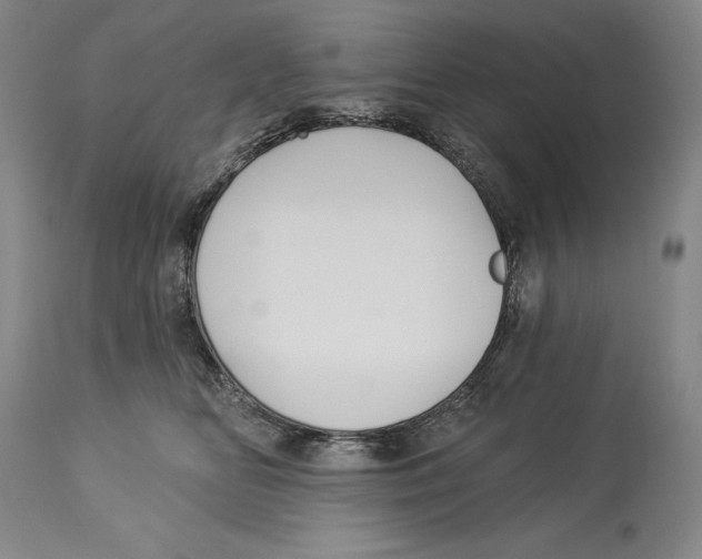 X0000113130518200910021419