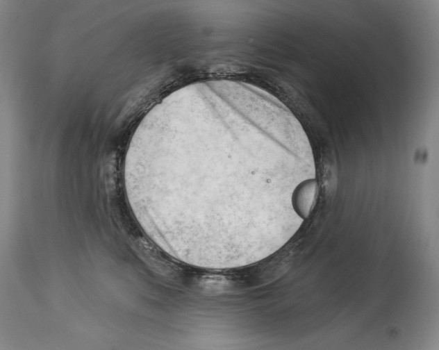 X0000113130519200910021419