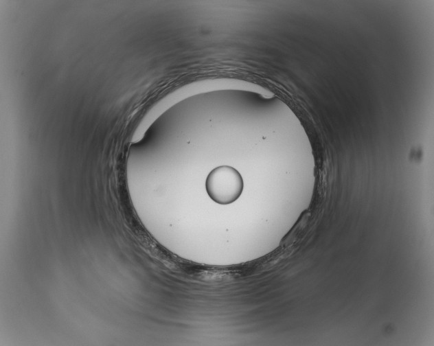 X0000113130520200910021419