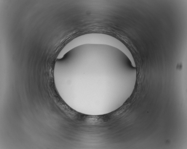 X0000113130521200910021419