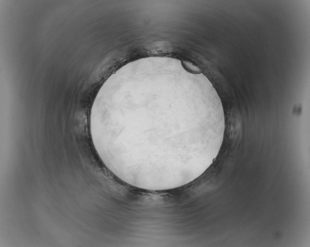 X0000113130523200910021419