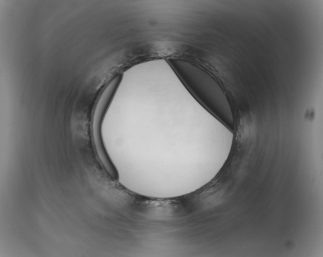 X0000113130524200910021419