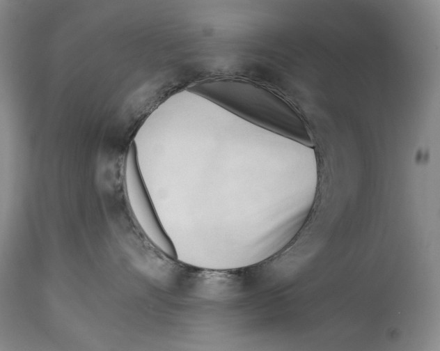 X0000113130528200910021419