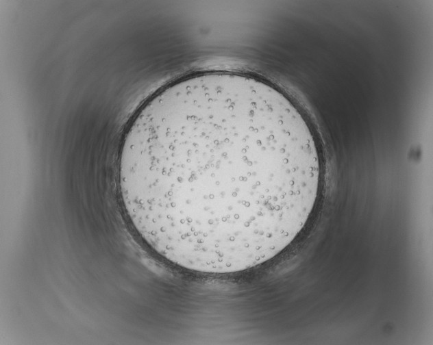 X0000113130529200910021418