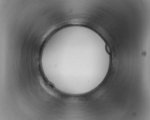 X0000113130530200910021418