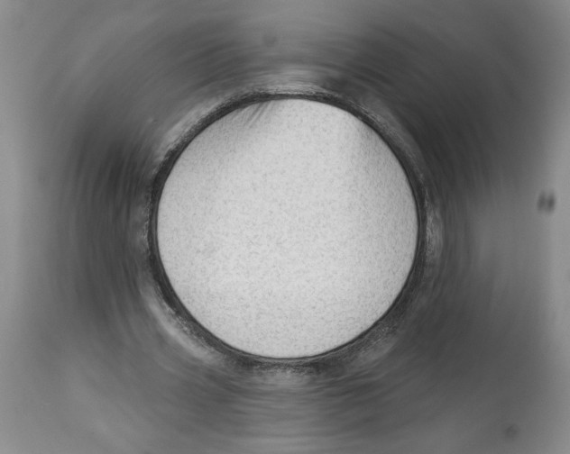 X0000113130533200910021418