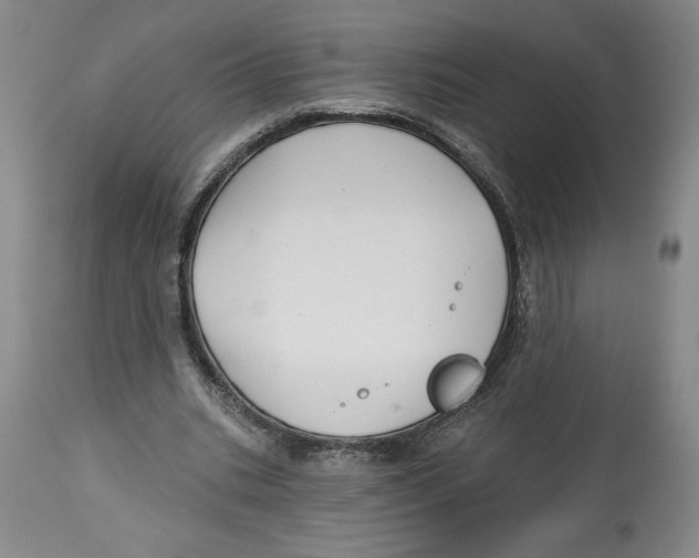 X0000113130535200910021418