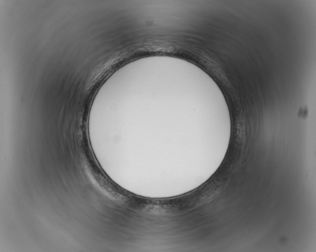 X0000113130538200910021418