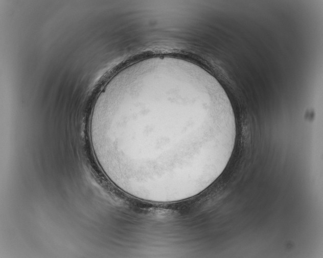 X0000113130539200910021418