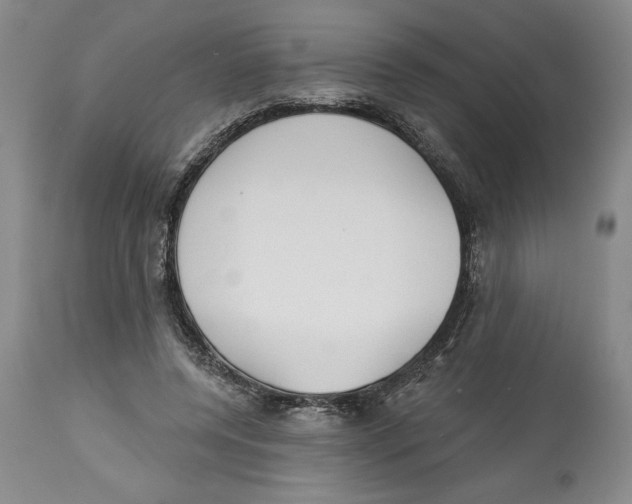 X0000113130544200910021418