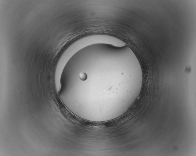 X0000113130548200910021418