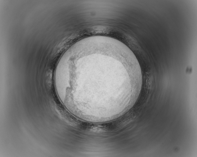 X0000113130550200910021418