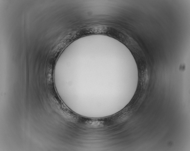 X0000113130553200910021418