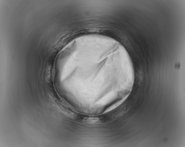 X0000113130554200910021418