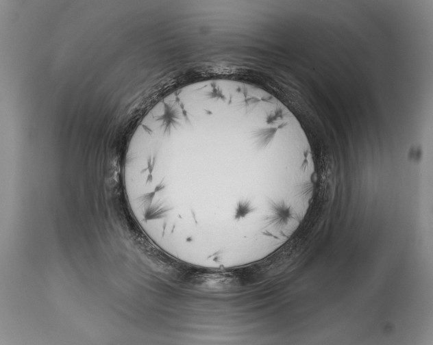X0000113130555200910021418