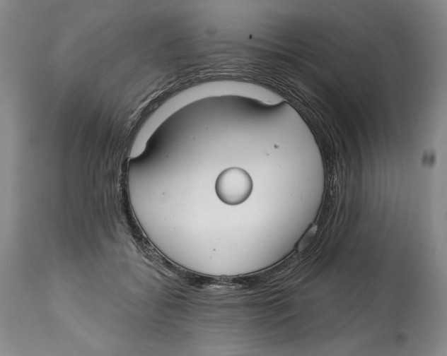 X0000113130556200910021418