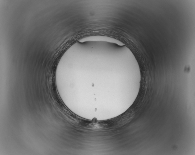 X0000113130558200910021418