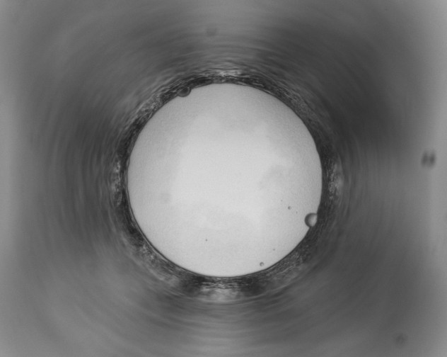 X0000113130559200910021418