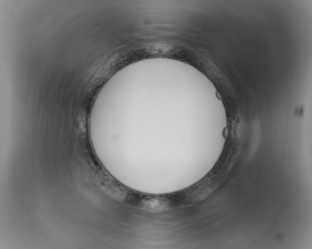 X0000113130561200910021418