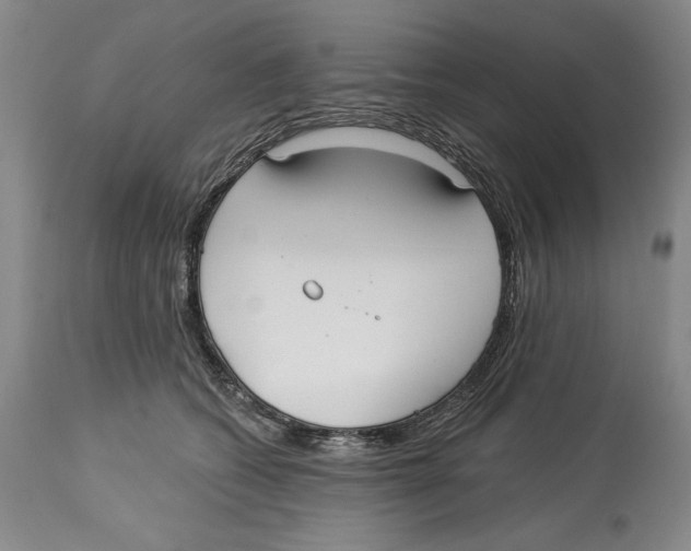 X0000113130562200910021418