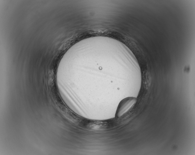 X0000113130563200910021419