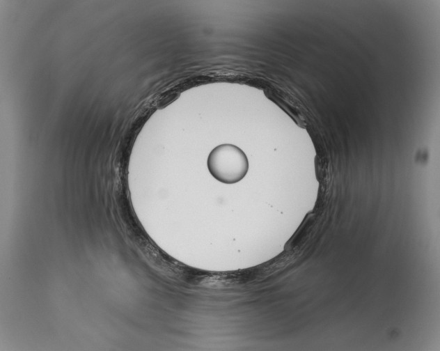 X0000113130568200910021419