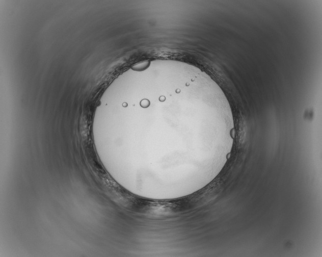 X0000113130569200910021419