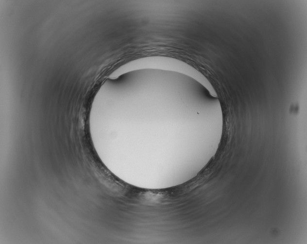 X0000113130570200910021419