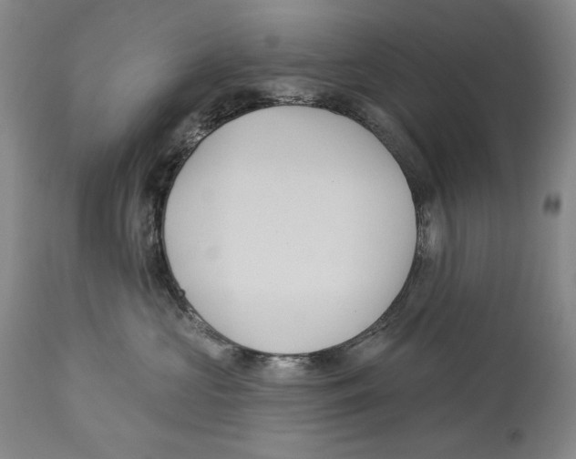 X0000113130573200910021419