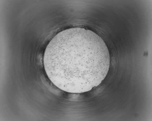 X0000113130575200910021419