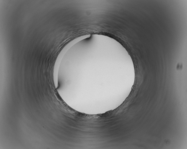 X0000113130576200910021419