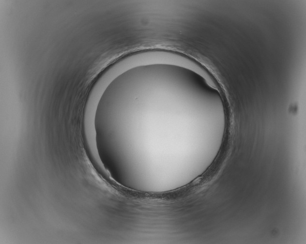 X0000113130577200910021418