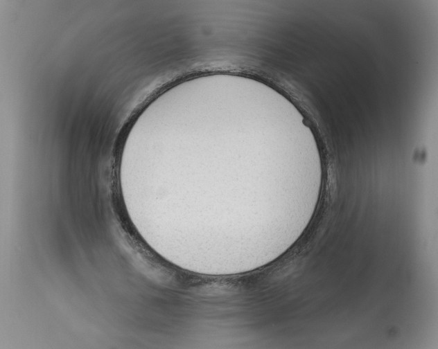 X0000113130578200910021418