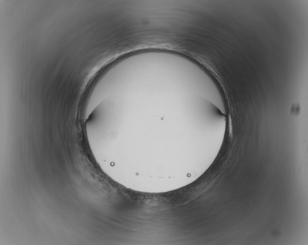 X0000113130579200910021418