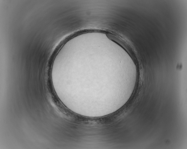 X0000113130580200910021418