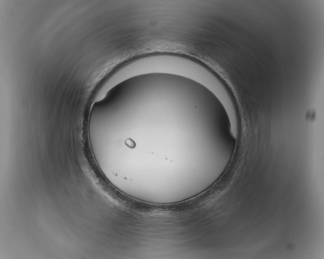 X0000113130581200910021418