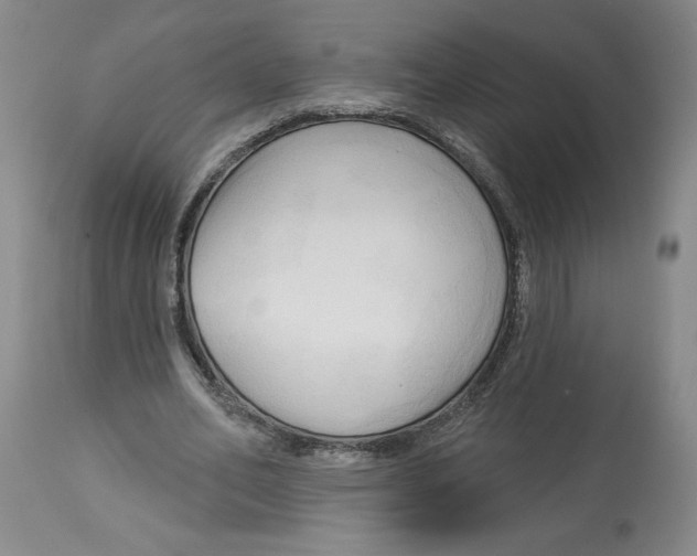 X0000113130582200910021418