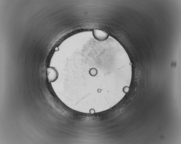 X0000113130584200910021418