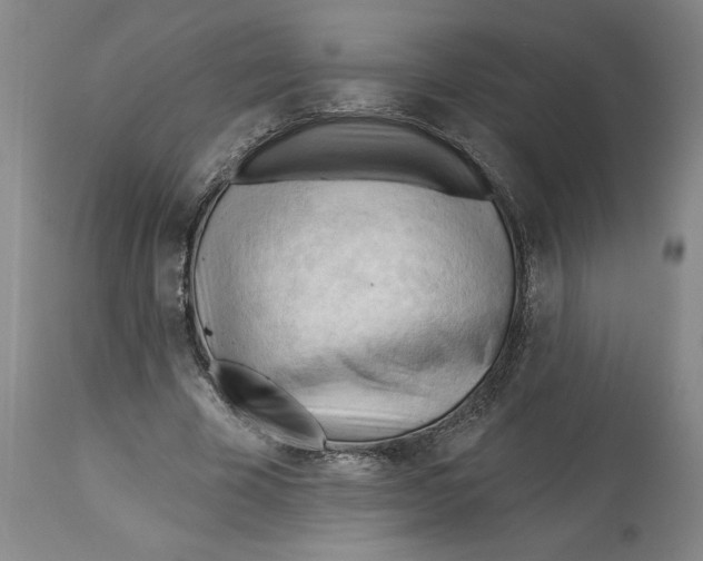 X0000113130585200910021418