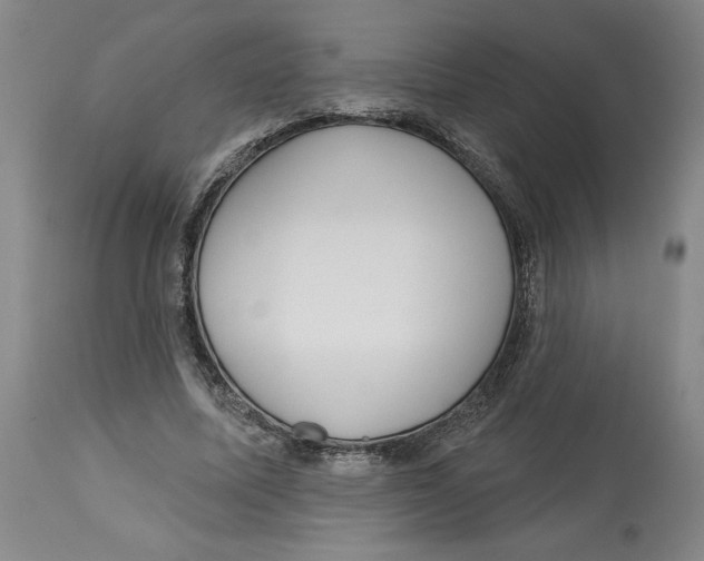 X0000113130587200910021418