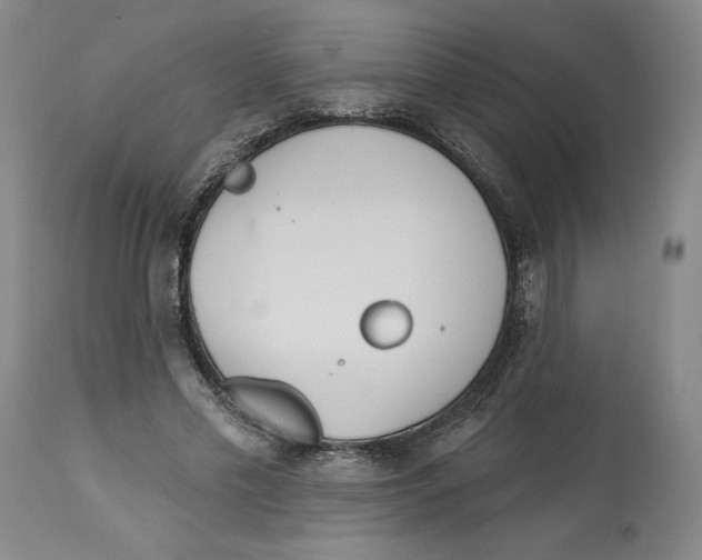 X0000113130589200910021418