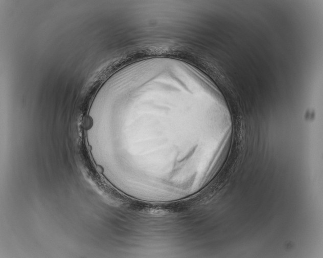 X0000113130590200910021418