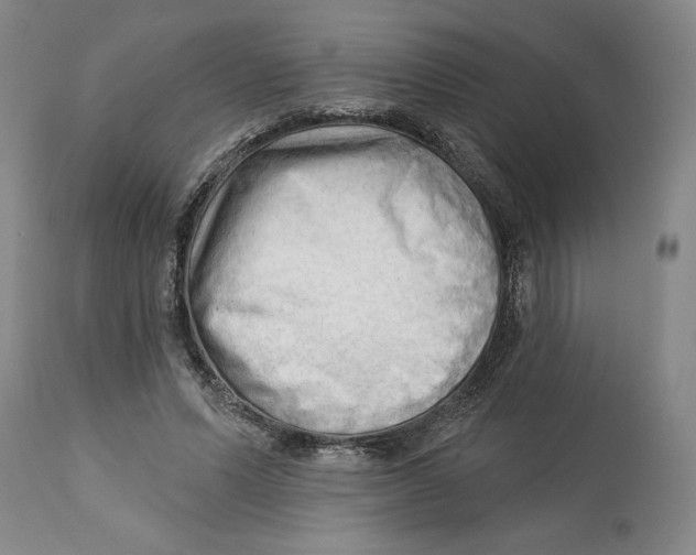 X0000113130591200910021418