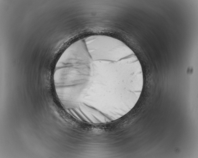 X0000113130592200910021418