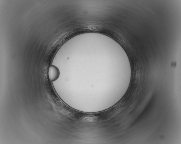 X0000113130595200910021418