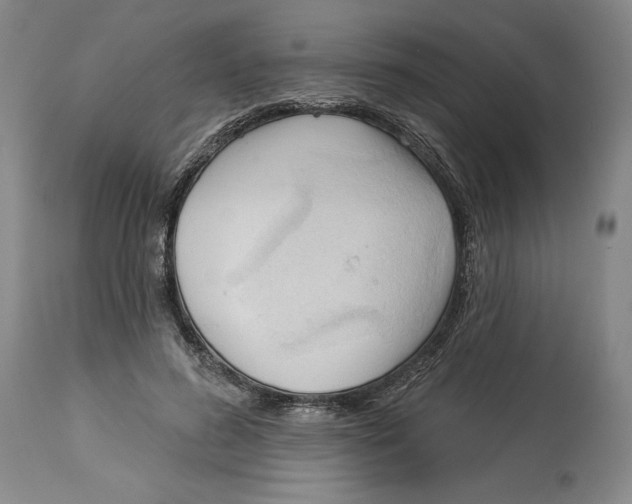 X0000113130596200910021418