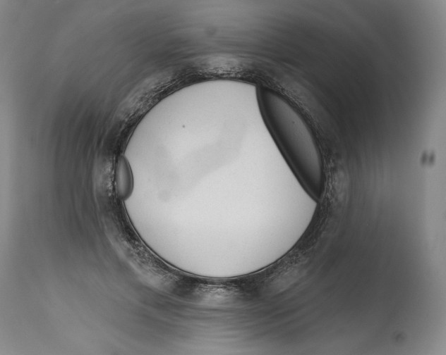 X0000113130597200910021418