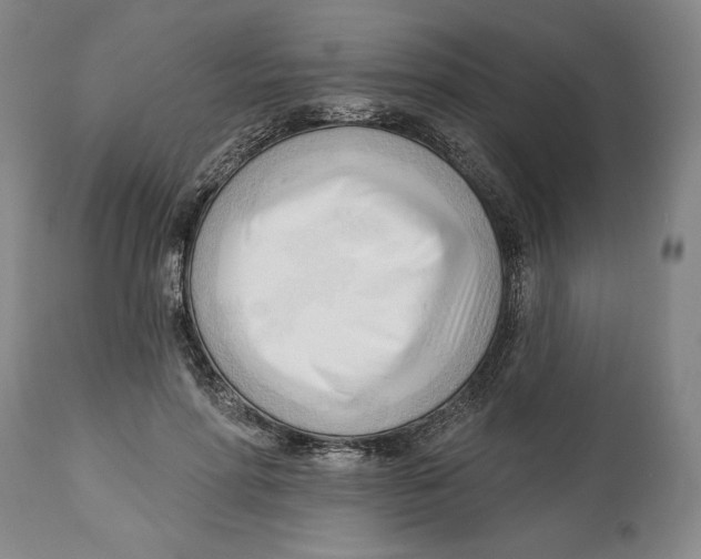 X0000113130598200910021418